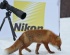 Nikon School обзавелась собственным сайтом