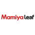 Mamiya и Leaf  объединились