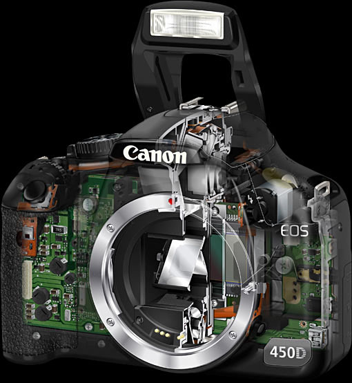 Canon EOS 450 D в разрезе