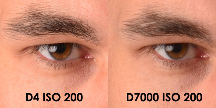 Nikon D4  на ISO 200
