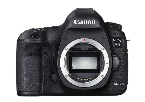 Canon EOS 5D MArk III или Nikon D600