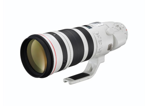 Canon EF 200-400mm f/4L IS USM Extender1.4x